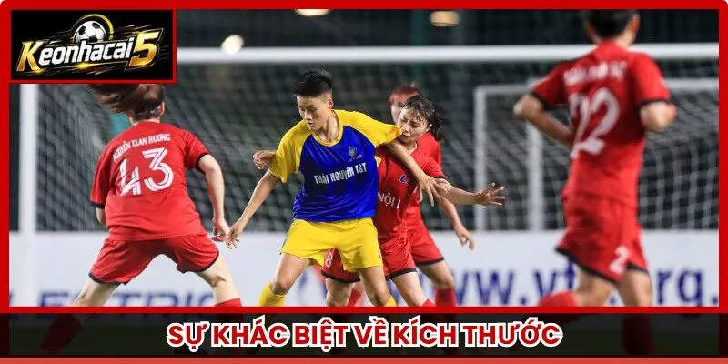 Sự khác biệt về kích thước