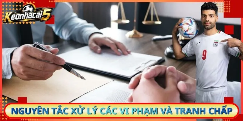 Nguyên tắc xử lý các vi phạm và tranh chấp
