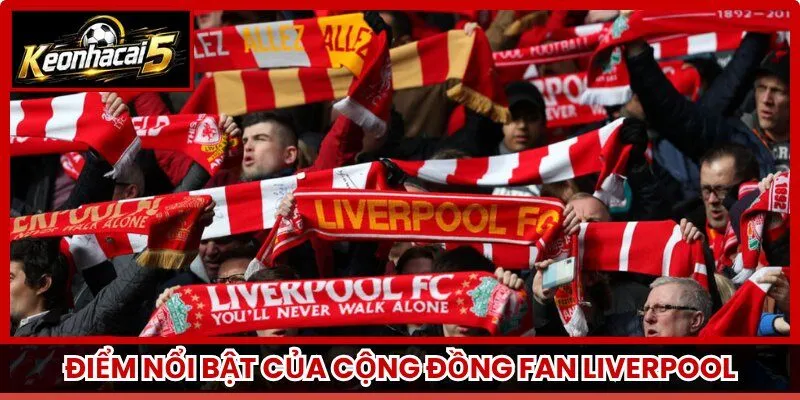 Điểm nổi bật của cộng đồng fan Liverpool