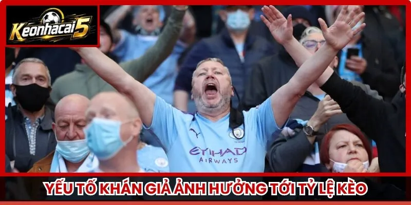 Yếu tố khán giả ảnh hưởng tới tỷ lệ kèo
