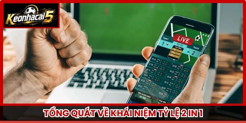 Tổng quát về khái niệm tỷ lệ 2 in 1