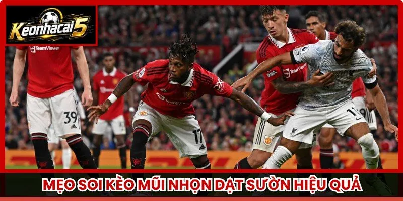 Mẹo soi kèo mũi nhọn dạt sườn hiệu quả